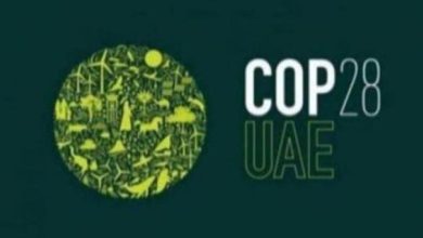 COP28.. نافذة عالمية على إنجازات شباب الإمارات في الاستدامة